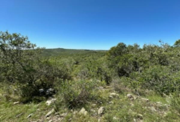 Nuevo proyecto 2021 10 11T192453197